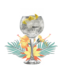 Image module